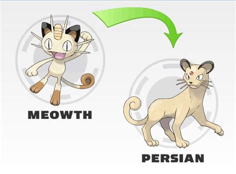 Pokemon Meowth Evolution Chart 的图像结果