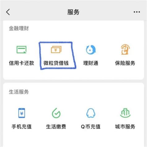 使用小额贷款全记录：分享我的微粒贷经历！ - 今报网 东方今报官方网站 河南广电全网融合平台