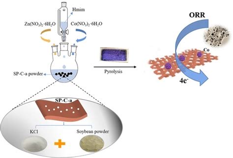 Mitigating Co Metal Particle Agglomeration and Enhancing ORR Catalytic ...