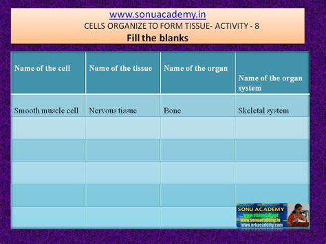 SONU ACADEMY: CELLS ORGANIZE TO FORM TISSUE-ACTIVITY(8)