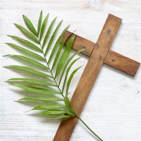 Image result for Examples of How to Color Code Your Bible