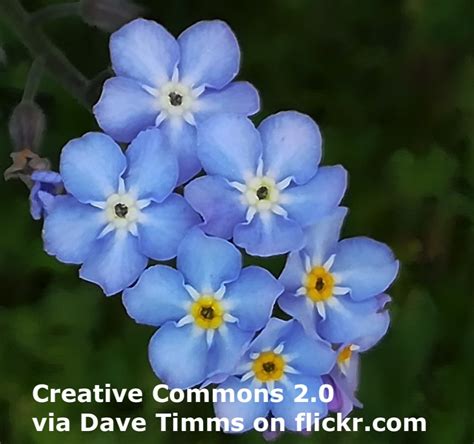 Image result for forgetting