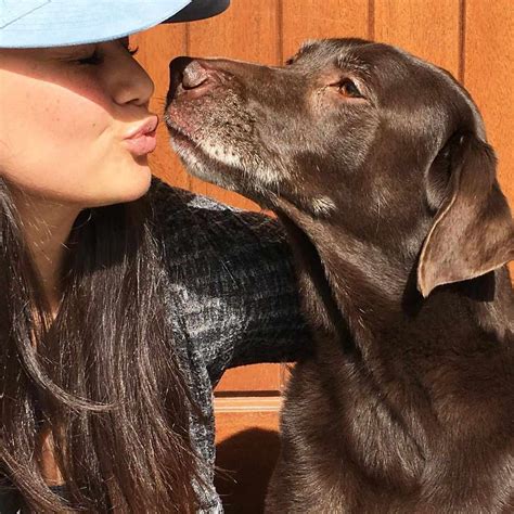 Sean Lowe's Dog Dies