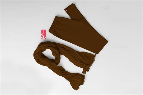 Shop Brown Dupattas Online - Prisma Collection