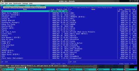 Image result for Midnight Commander