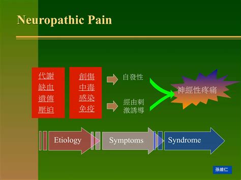 疼痛機制 The mechanism of Pain | PPT