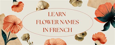 Learn 50+ Flower Names in French