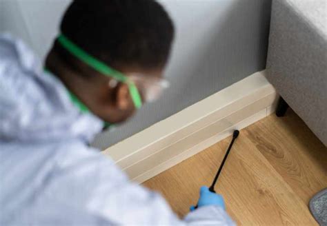 Cockroach Extermination Method 的图像结果