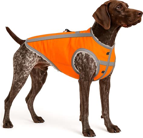 Amazon.com: Reflective Dog Hunting Vest for Cold Weather – Waterproof ...