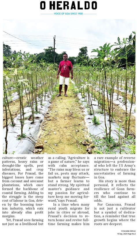 15-09-2025_002 - O Herald 15-09-2025 - oHeraldo: Daily News paper ...