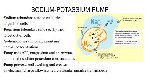 Approach to patient of sodium imbalance | PPTX