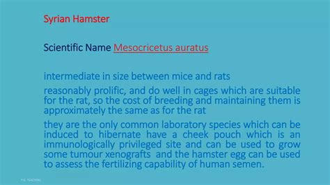 common_Lab_animal_and_breeding_colonies-1.pptx