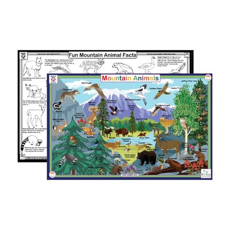 Buy Tot Talk Mountain Animals Placemat Online at Low Prices in India ...