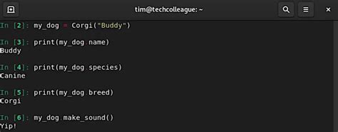 Python College Assignment for Inheritance Get High Income Method 的图像结果