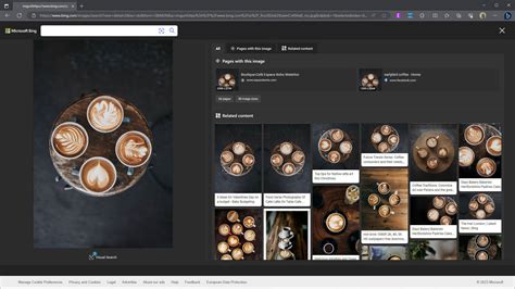 Bing Visual Search 的图像结果
