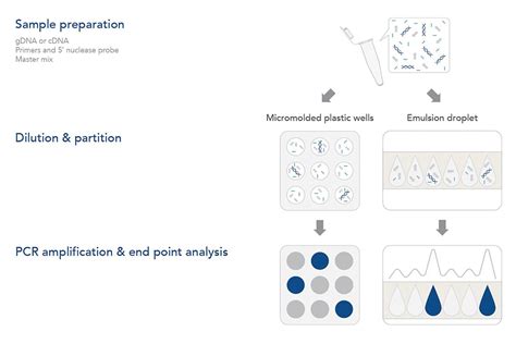 Image result for Digital PCR Tutorial