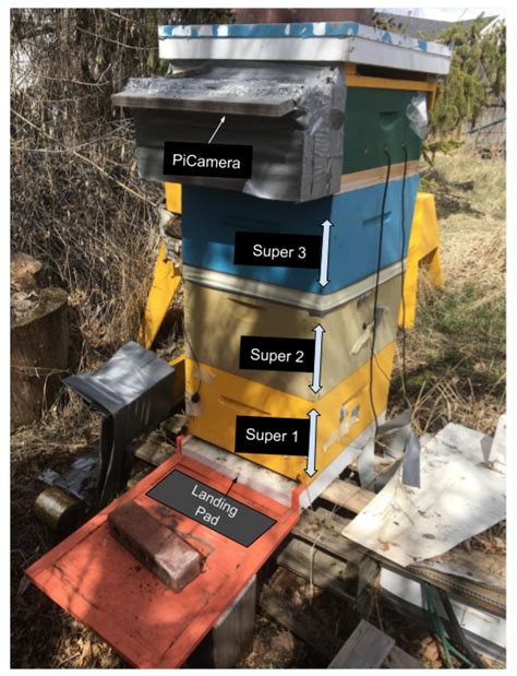 On Video Analysis of Omnidirectional Bee Traffic: Counting Bee Motions ...