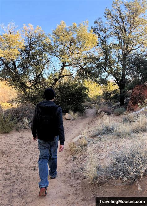 Image result for Loop Pimple