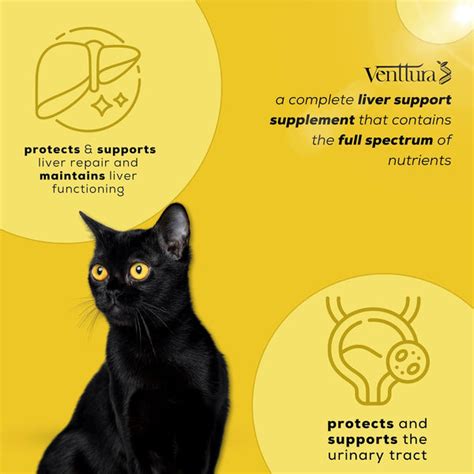 Venttura Livo+ Liver & Urinary Support Supplement for Cats – ShakeHands