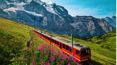 Top 10 Universities in Switzerland: Rankings, Popular Programs