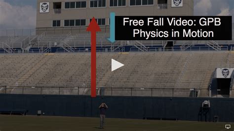 Image result for Free Fall Physics Problems