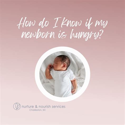 How do I know if my newborn is hungry