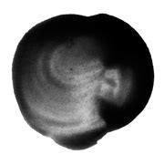 7 Alternatives to Rilds: A Look at the Best Similar Sites ...