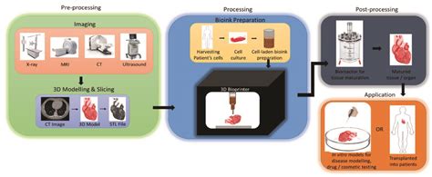 Application of 3D Bioprinting in Urology