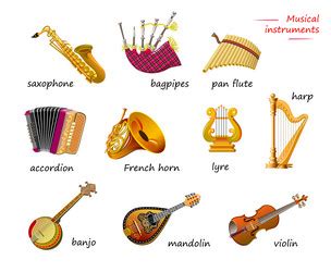 Image result for Different Types of Instruments