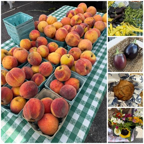 Combs, - Enjoyed spending the morning at the Madison County Farmers ...