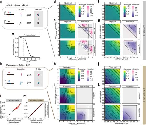 Image result for Epistasis Lecture Notes