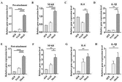 CD163 Antibodies Inhibit PRRSV Infection via Receptor Blocking and ...