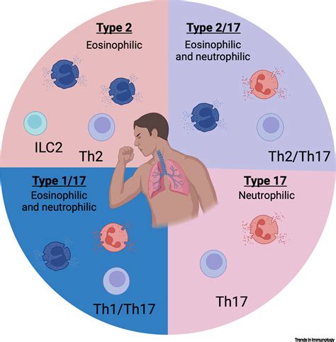 Sterols in asthma: Trends in Immunology