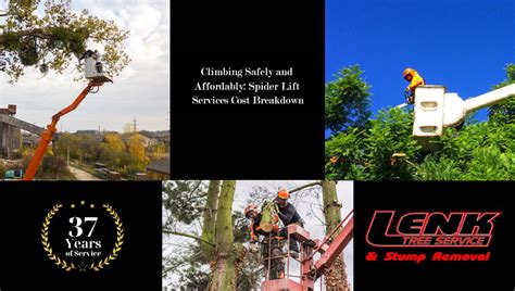 Image result for Spider Web Thread Lift Cost