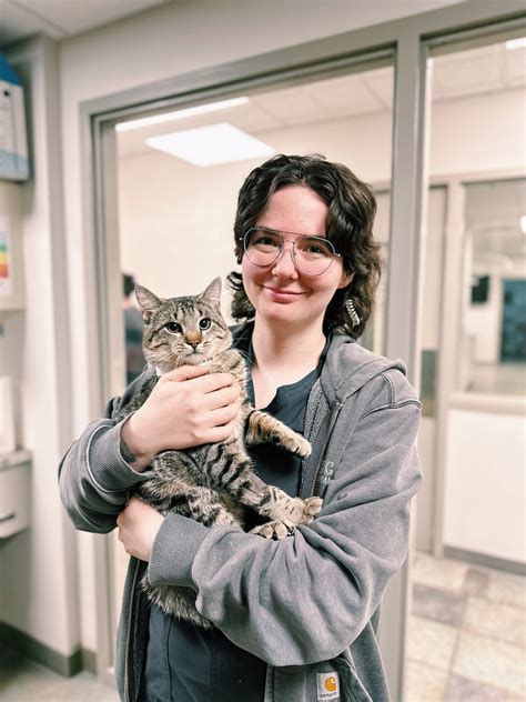 Our Team | Bloomsburg Vet Hospital