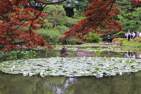 Kitagawa Village Monets Garden Marmottan, kochi, Japan - Top ...
