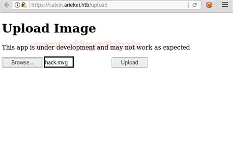 Hack the Box Challenge: Ariekei Walkthrough - Hacking Articles