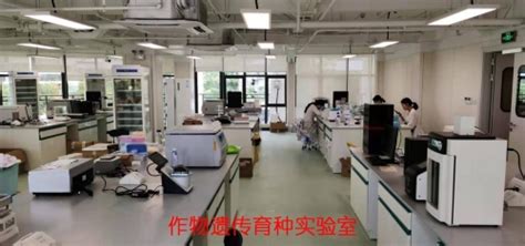 中国农业大学三亚研究院 新闻动态 三亚研究院研学谷实验室正式投入使用