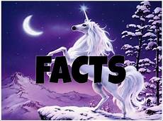 why don t we unicorns today this ballsy facts about unicorns can you believe it why don t we unicorns today this ballsy facts about unicorns can you believe it
