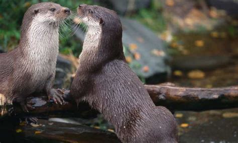 10 Updated Festivals In Scotland (with dates) To Experience In 2025