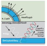 பலவண்ண ஒளியினால் ஏற்படும் குறுக்கீட்டு விளைவு | Interference with ...