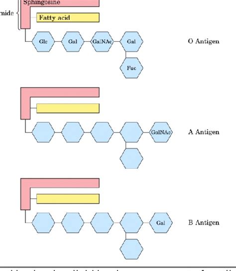 Labels KeyShot 的图像结果