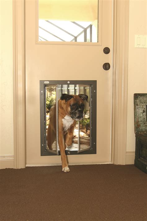 Dog Door Ideas For Large Dogs