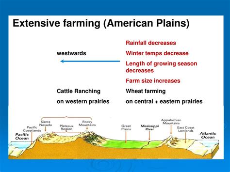 Extensive Farming 的图像结果
