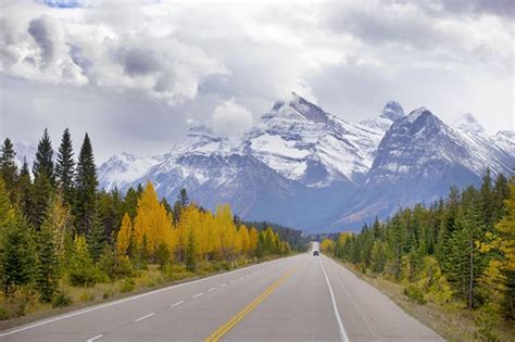 Image result for Intaglio Engraving