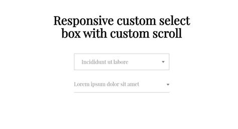 How to Open Select by JavaScript or jQuery 的图像结果