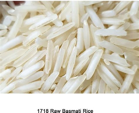 1718 Basmati Raw Rice Manufacturer Exporter Supplier from Karnal India