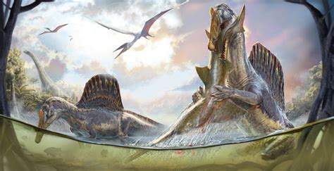 New analysis uncovers major issues with earlier suggestions that Spinosaurus pursued prey underwater