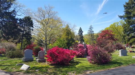 Burial Search – Moravian Cemetery