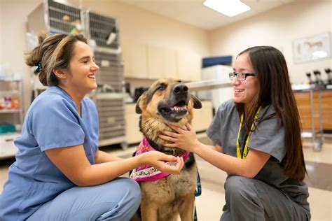 Image result for Vet Tech VA Program